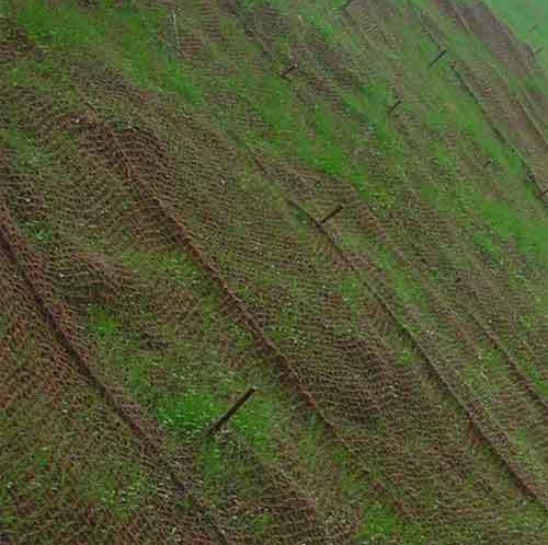 Coir geotextile
